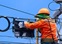 Fiber Rollout